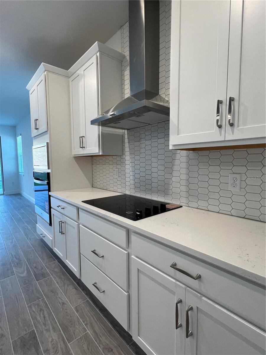 HILLS OF MINNEOLA - Residential