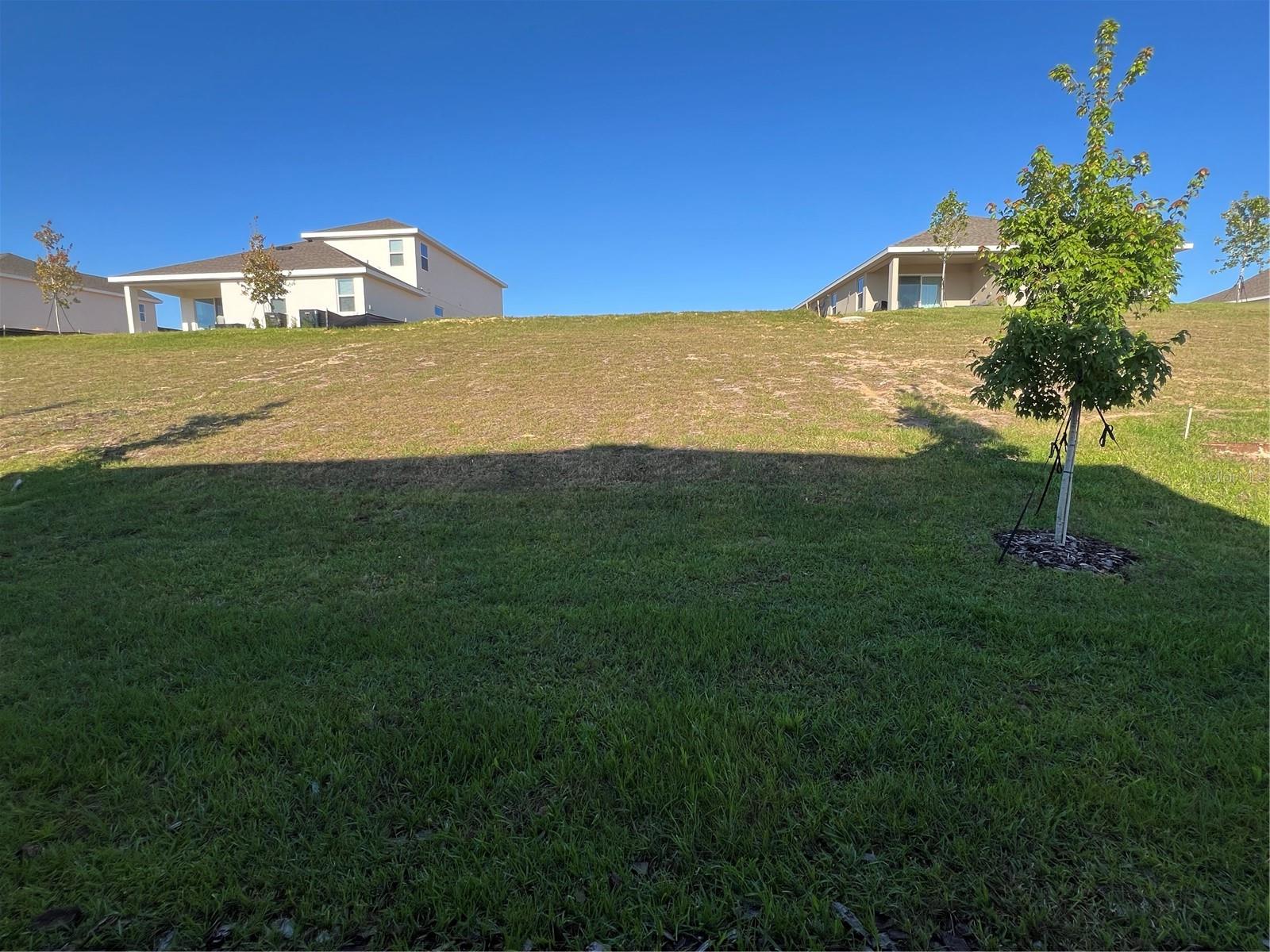 HILLS OF MINNEOLA - Residential