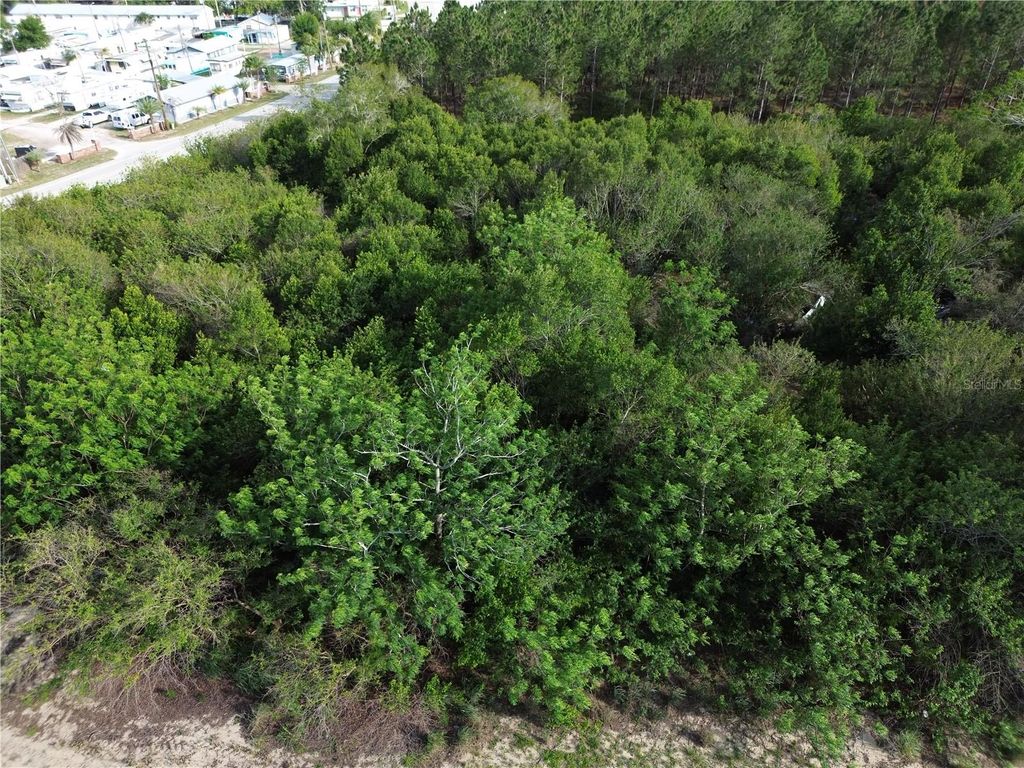 Photo of 3055 Sr-17 N, Sebring, FL 33870 (MLS # L4961866)