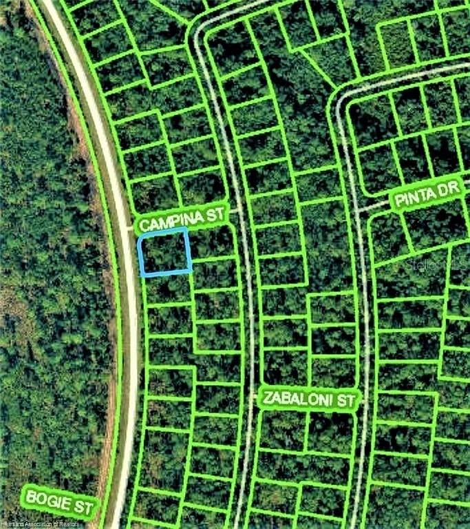 Here’s your chance to own a beautiful buildable lot in one of the most desirable areas of Rainbow Lake Estates. Situated on a paved road and surrounded by newly built and well-kept homes, this property offers the perfect blend of comfort, privacy, and nature.
Enjoy the beauty of Florida’s outdoors with Rainbow Springs State Park just 15 minutes away — perfect for swimming, kayaking, and hiking adventures. You’re also only 20 minutes from downtown Dunnellon, where you’ll find shopping, restaurants, medical centers, and local entertainment. Looking to escape to the coast? The Gulf of Mexico is just a 30-minute drive, ideal for fishing and boating days.
This high and dry property is tucked away in a quiet, no-HOA neighborhood, giving you full freedom to design your ideal lifestyle. Whether you’re ready to start building or prefer to invest for the future, this lot offers tremendous potential in a steadily growing community.
Seize the opportunity to live or invest in one of Florida’s most peaceful and promising areas!
