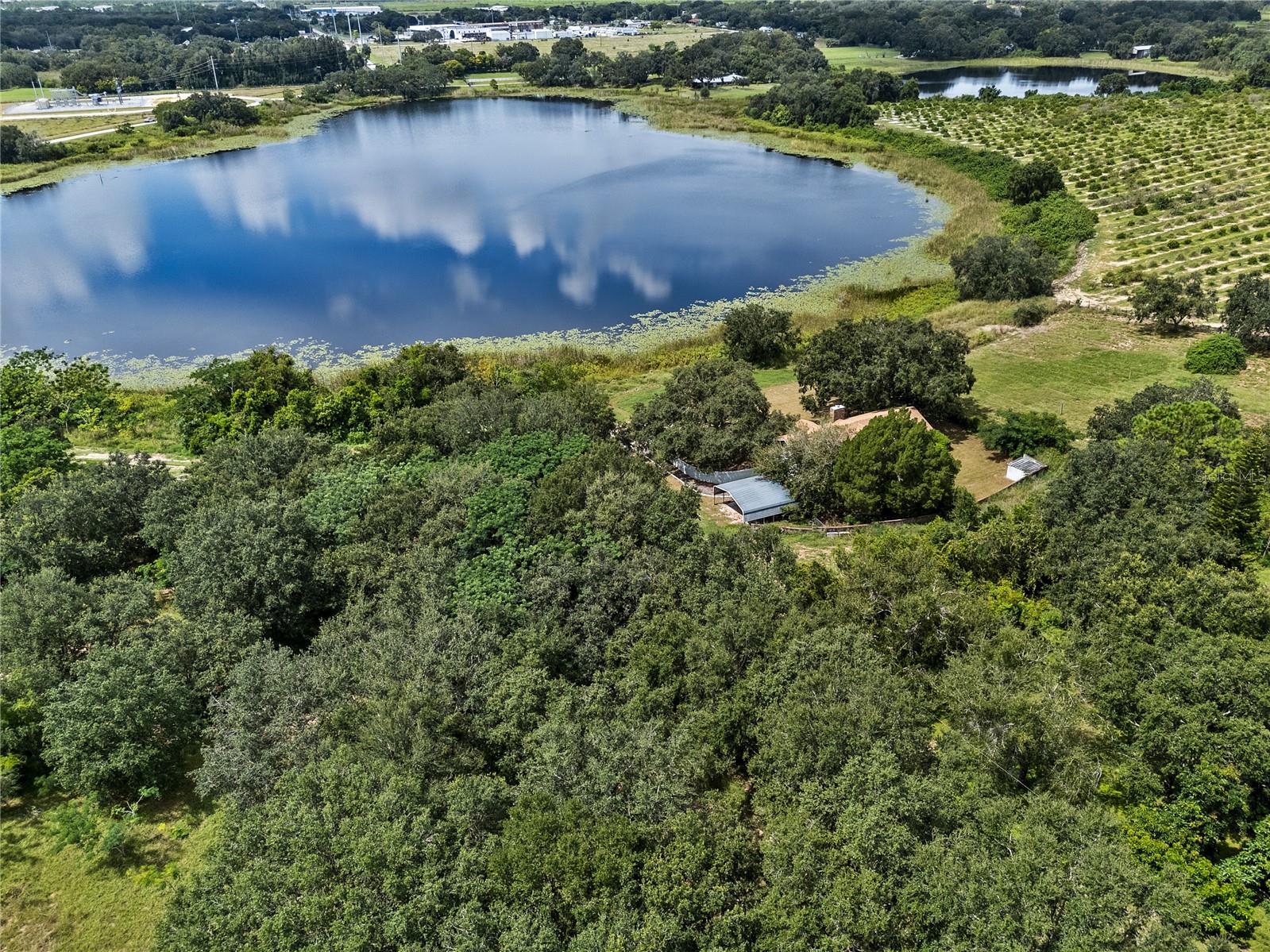 WAVERLY - Residential