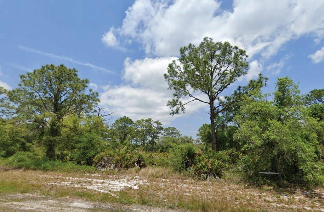 Located in the peaceful and expanding area of Lake Placid, this residential lot offers a great opportunity to build in a community known for its lakes, charm, and convenience.All information is deemed reliable but should be independently verified.