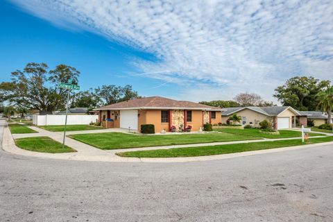 A home in PALM HARBOR