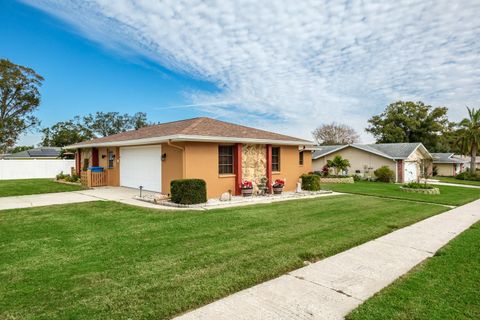 A home in PALM HARBOR