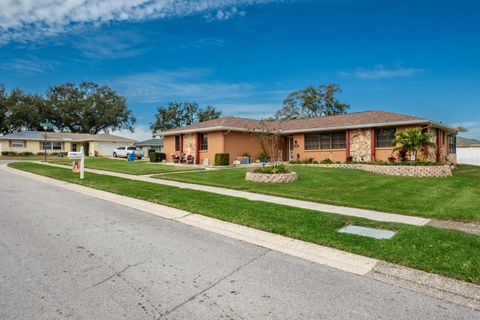 A home in PALM HARBOR