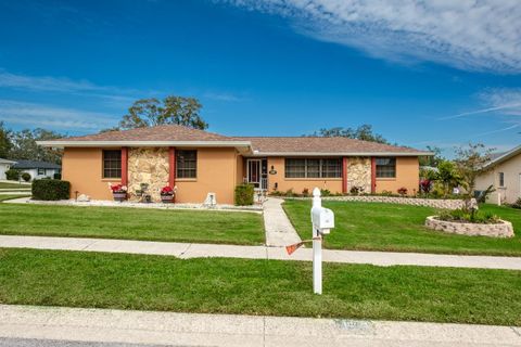 A home in PALM HARBOR