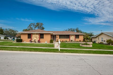 A home in PALM HARBOR