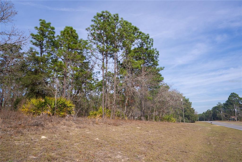 Photo of 2173 W Citrus Springs Boulevard, Citrus Springs, FL 34434 (MLS # OM719363)