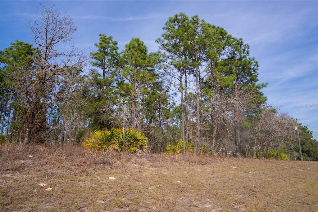 Photo of 2173 W Citrus Springs Boulevard, Citrus Springs, FL 34434 (MLS # OM719363)