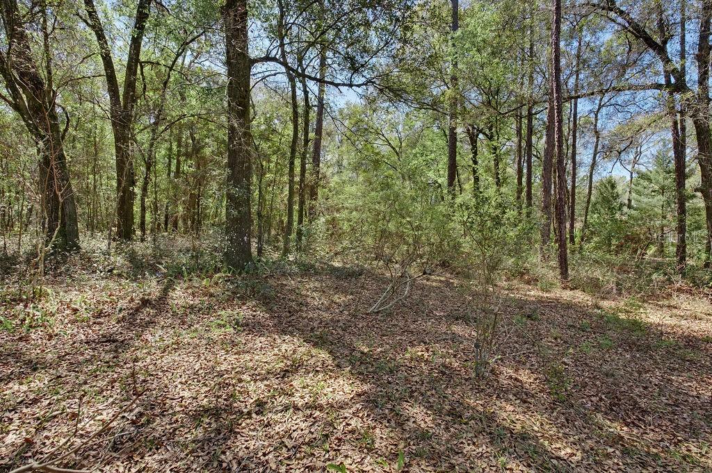 RAINBOW SPGS 04 REP - Residential