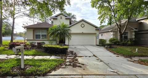 Photo of 10906 Tree Cactus Loop, Land O Lakes, FL 34638 (MLS # TB8493541)