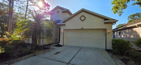 Photo of 10906 Tree Cactus Loop, Land O Lakes, FL 34638 (MLS # TB8493541)