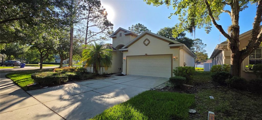 Photo of 10906 Tree Cactus Loop, Land O Lakes, FL 34638 (MLS # TB8493541)