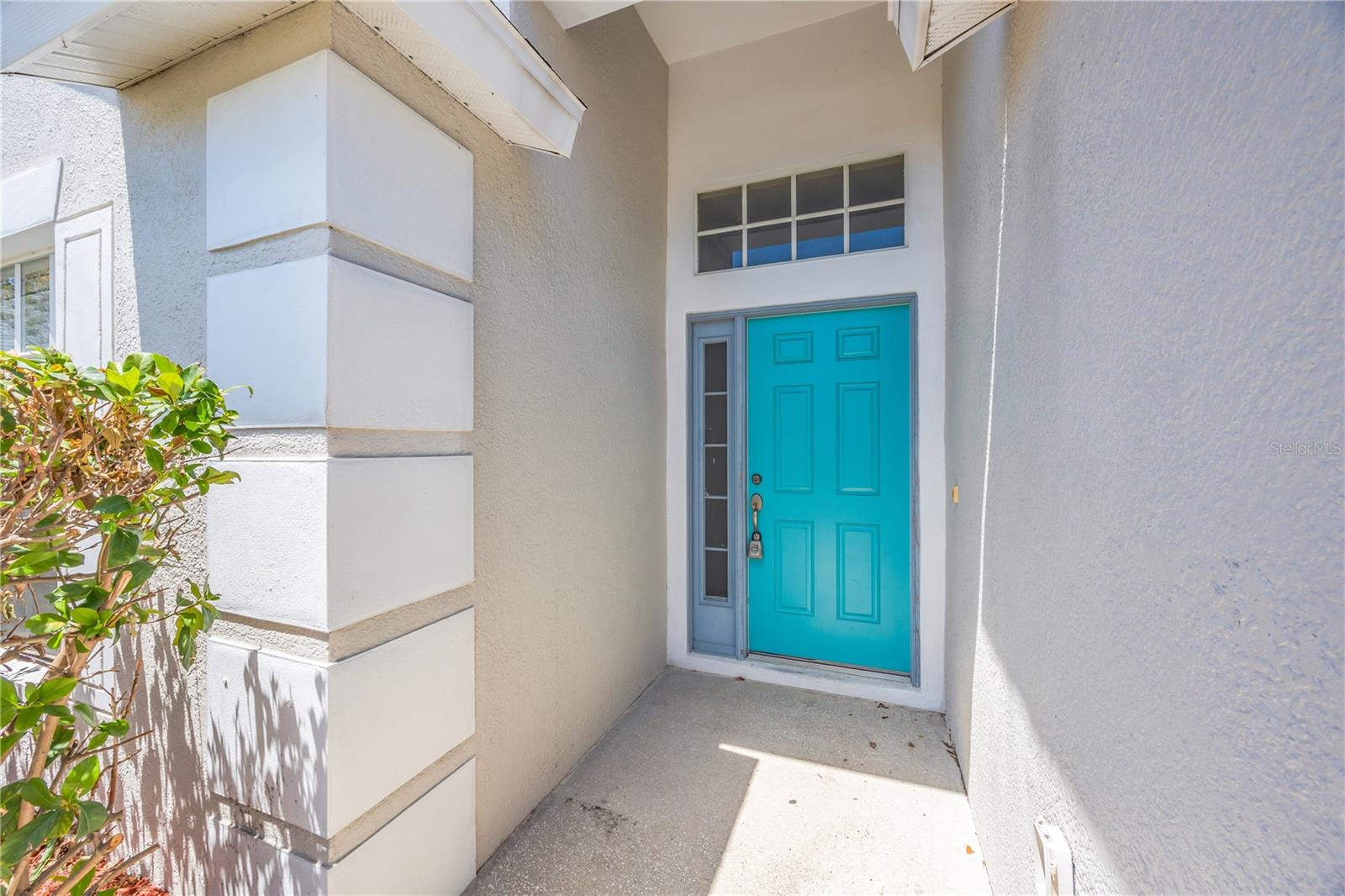 30435 ANNADALE DRIVE