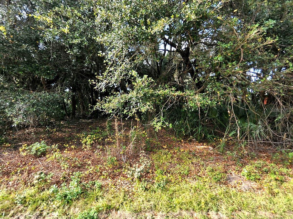 PORT CHARLOTTE SUB 7 - Land