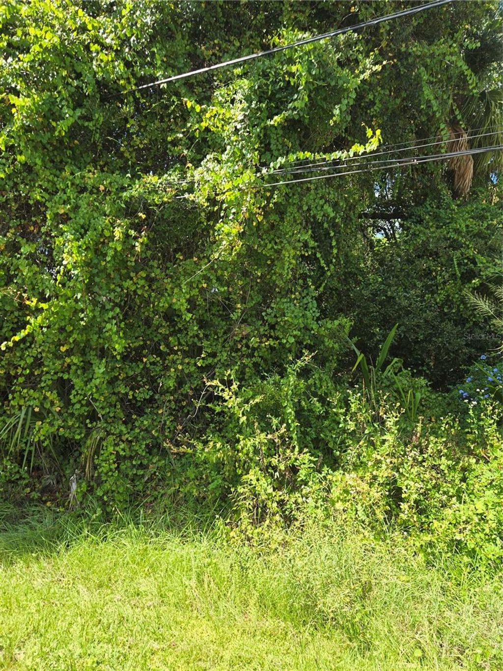 Photo of North Port, FL 34286 (MLS # A4666045)