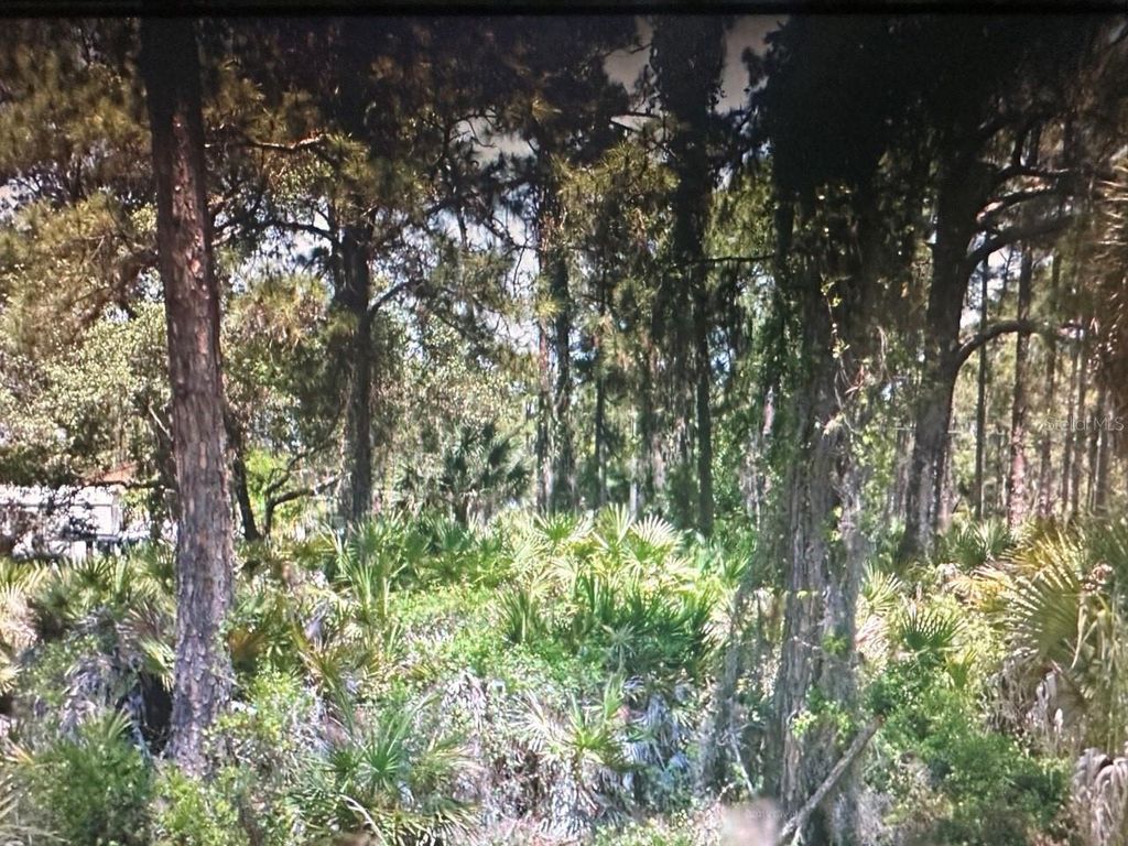 Photo of 12070 Hunter Avenue, Port Charlotte, FL 33953 (MLS # S5118413)