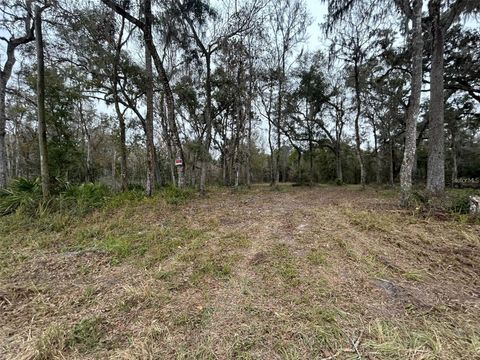 Tiny photo for 12191 NW 7th Place, Ocala, FL 34482 (MLS # OM719718)