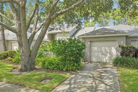 A home in PALM HARBOR