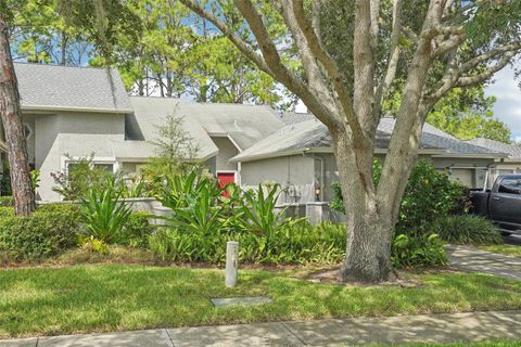 A home in PALM HARBOR