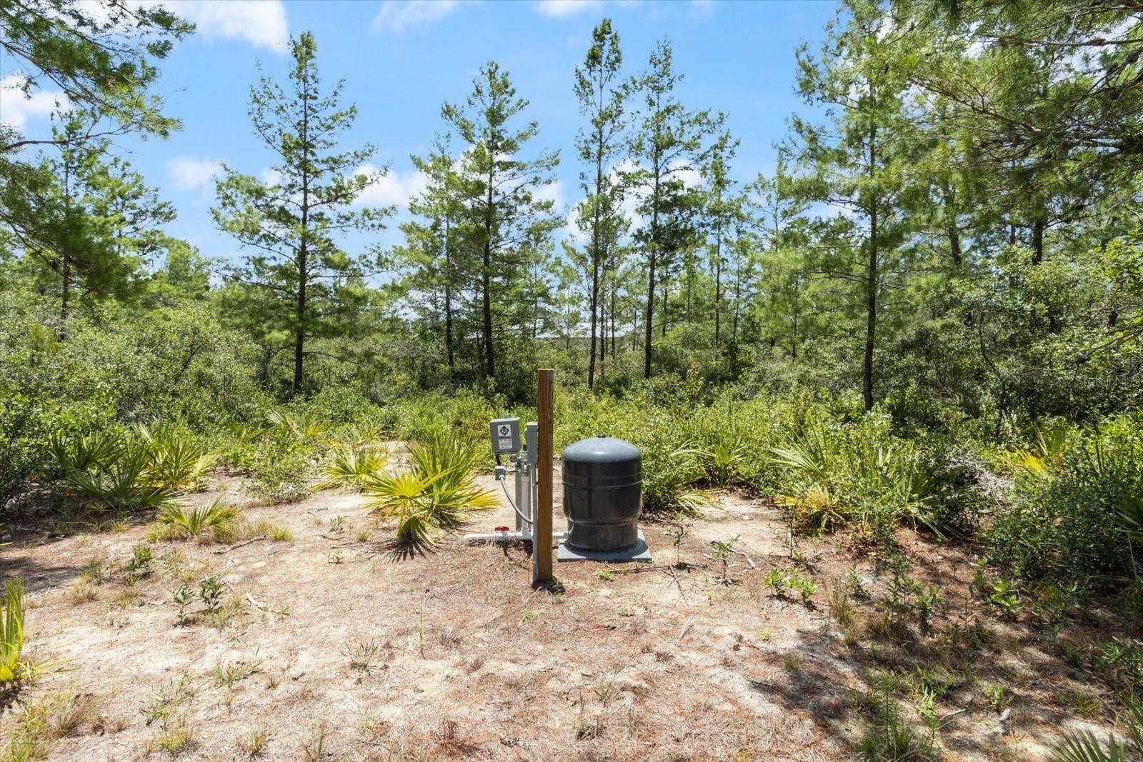 8572 N LINDHURST CIRCLE