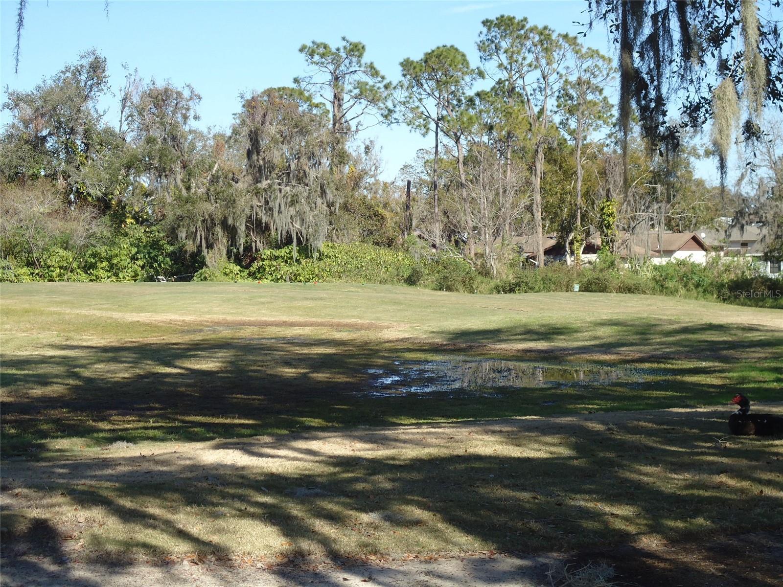 HUNTINGTON HILLS - Land