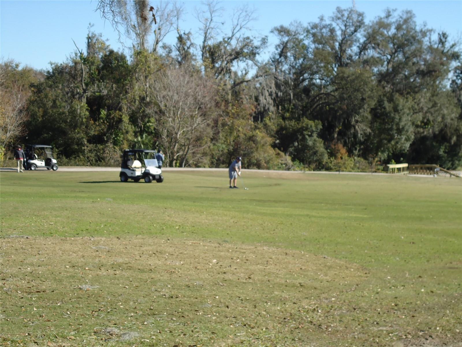 HUNTINGTON HILLS - Land