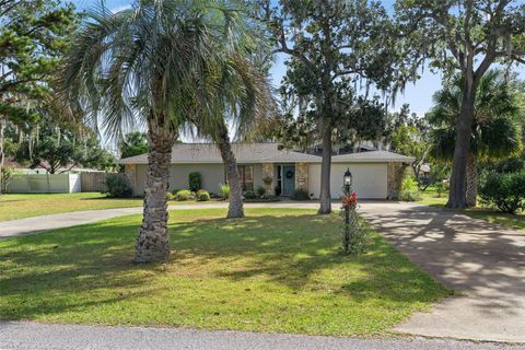 A home in FRUITLAND PARK