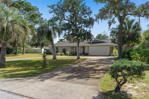 A home in FRUITLAND PARK