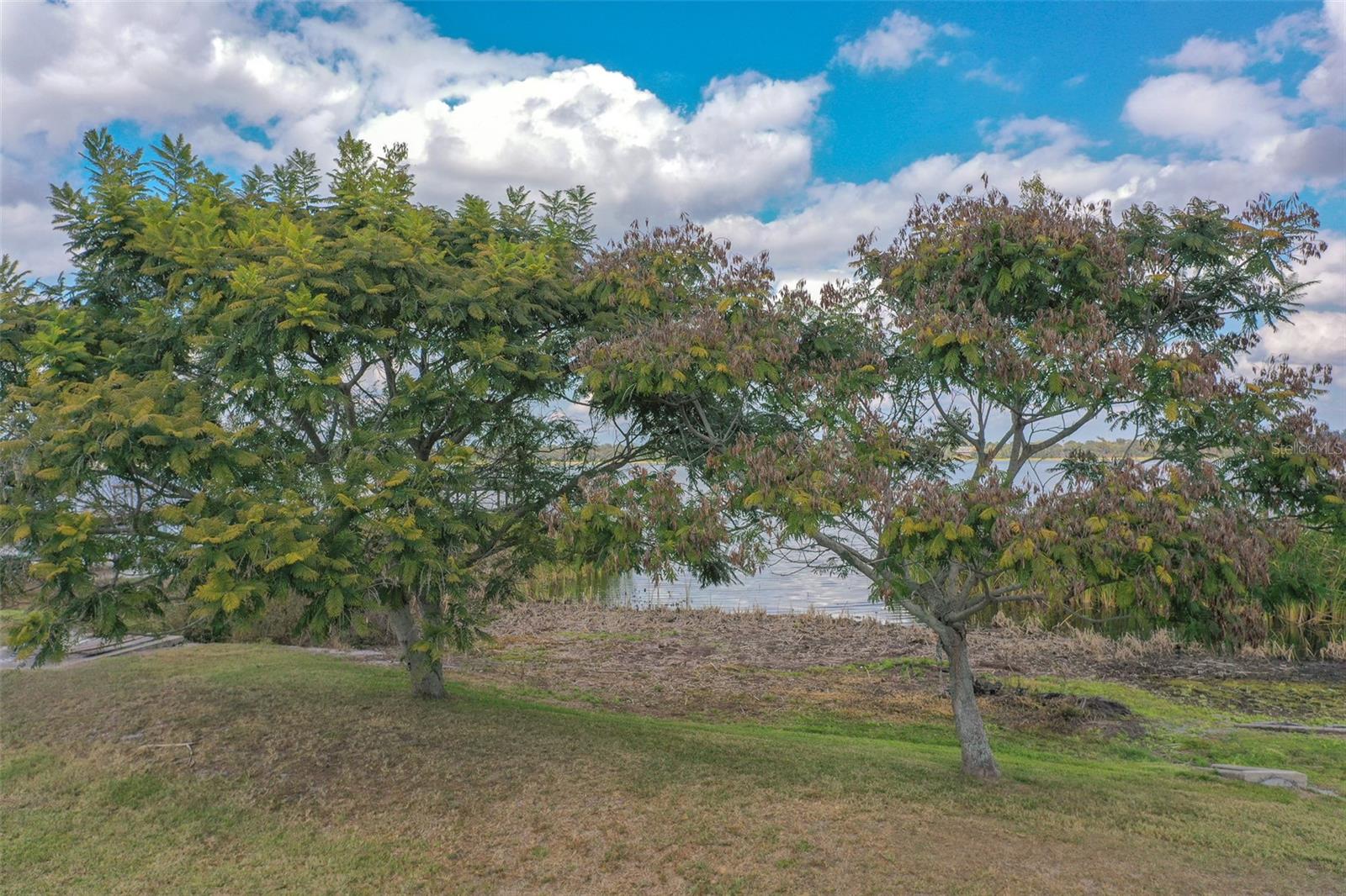 ISLAND LAKES - Residential Lease