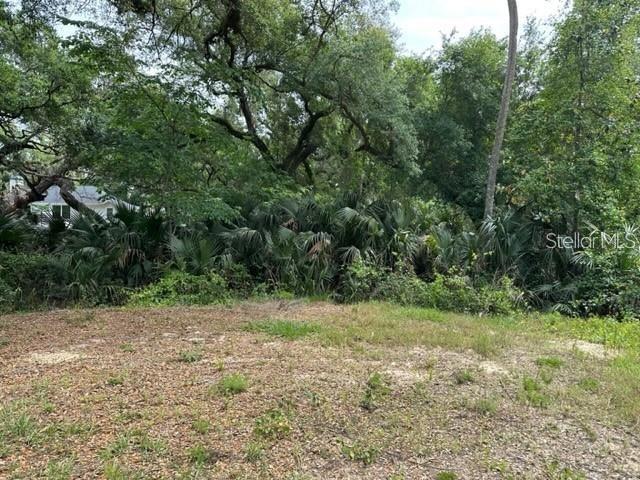 ASSESSORS GARFIELD LTS 02 & 03 - Land