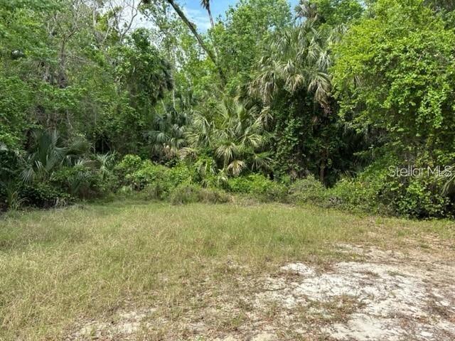 ASSESSORS GARFIELD LTS 02 & 03 - Land