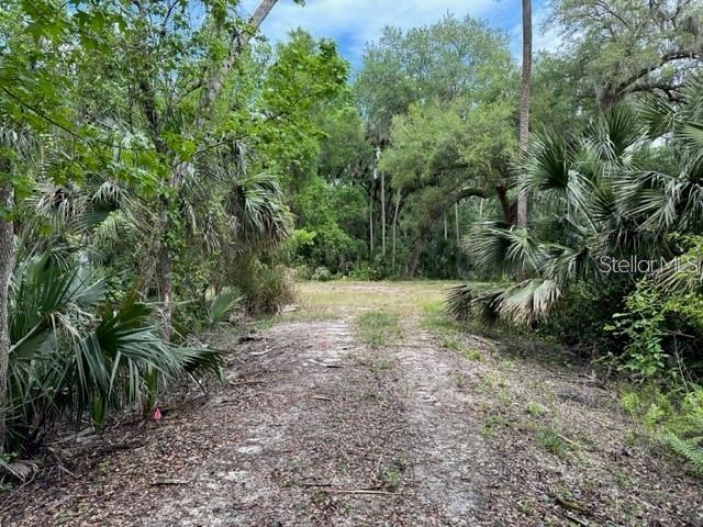 ASSESSORS GARFIELD LTS 02 & 03 - Land