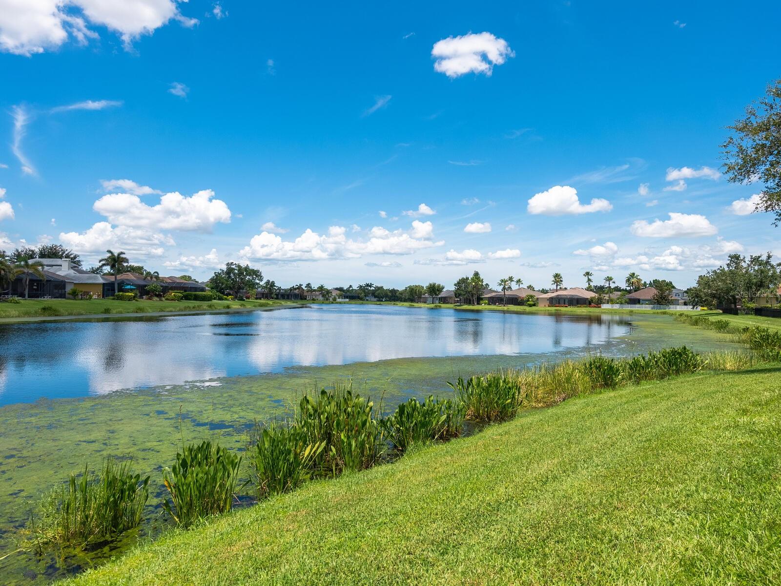 GREYHAWK LANDING PH 3 - Residential