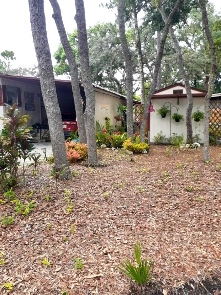 THE FOREST PH 2 SEC 2 - Residential