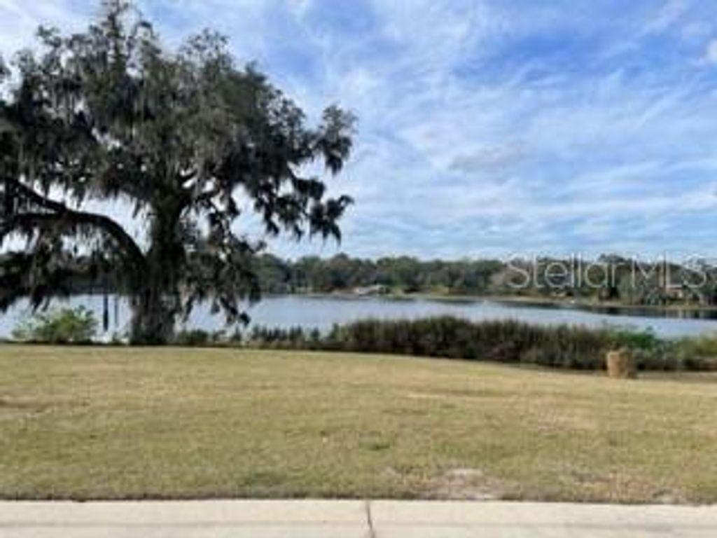 Photo of 425 W Blue Water Edge Drive, Eustis, FL 32736 (MLS # O6390450)