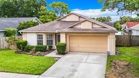 A home in TAMPA