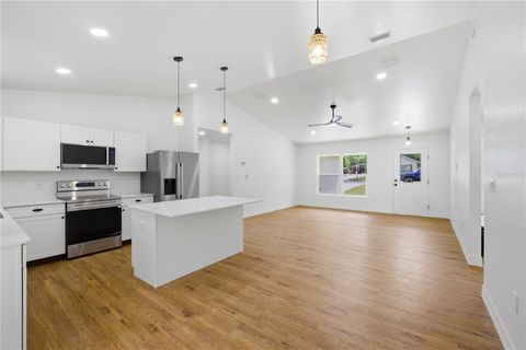 Tiny photo for 124 Guava Terrace, Ocklawaha, FL 32179 (MLS # G5111407)