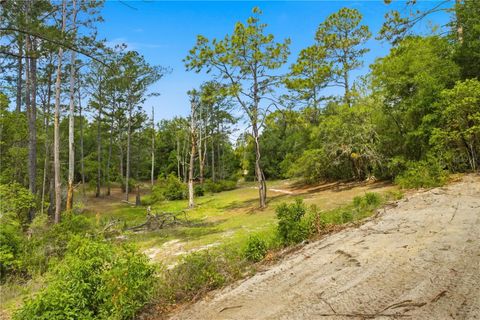 Tiny photo for 124 Guava Terrace, Ocklawaha, FL 32179 (MLS # G5111407)