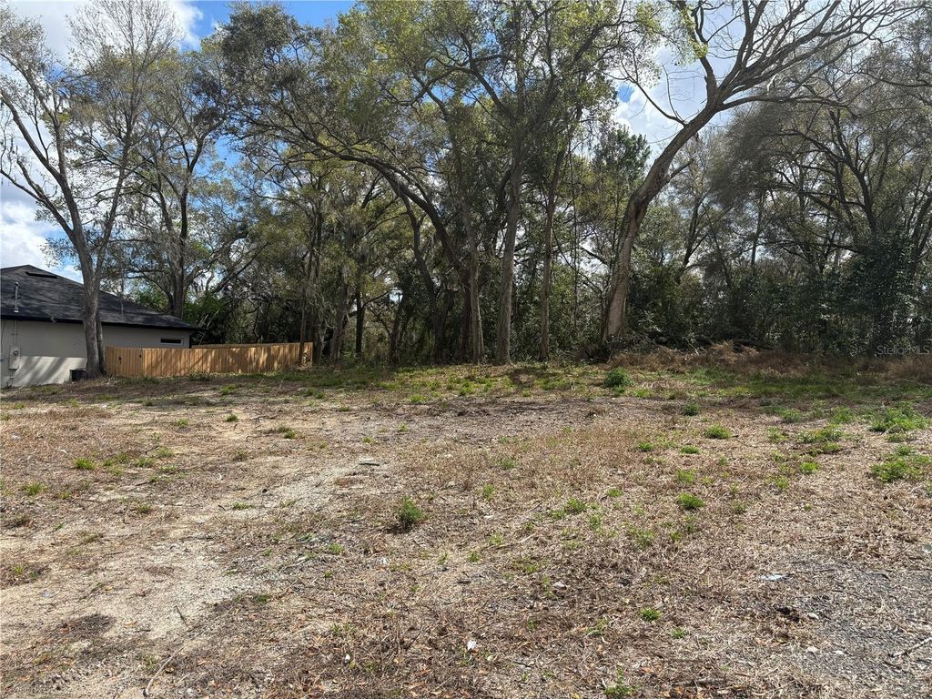 Photo of 114 E Cleveland Street, Apopka, FL 32703 (MLS # O6388637)