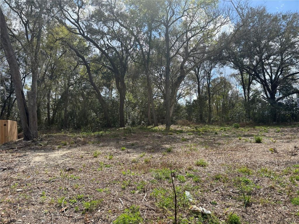 Photo of 114 E Cleveland Street, Apopka, FL 32703 (MLS # O6388637)