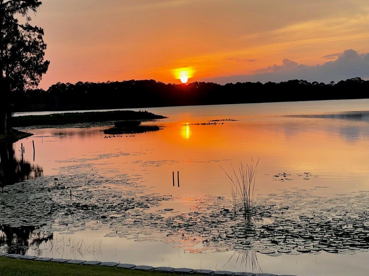 MAGNOLIA SHORES - Residential Lease