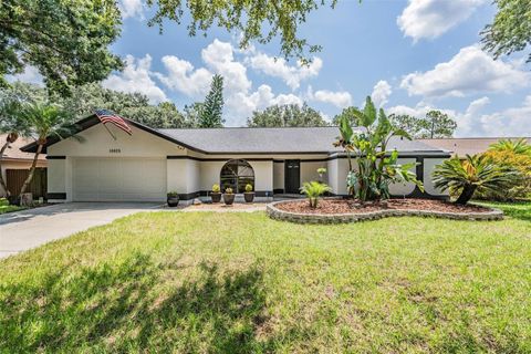 Single Family Residence in TAMPA FL 16605 COURSE DRIVE.jpg