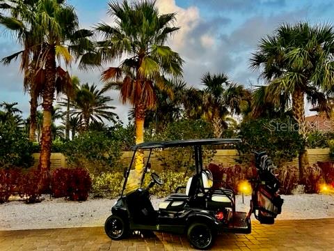 BACCIANO IV AT ESPLANADE LAKEWOOD RANCH - Residential