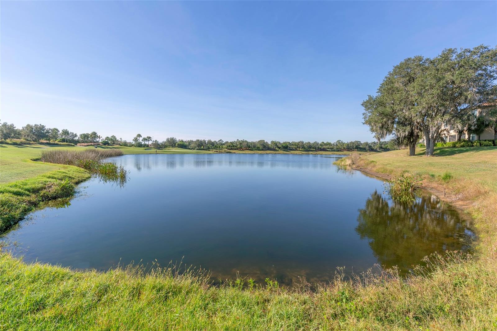 BACCIANO IV AT ESPLANADE LAKEWOOD RANCH - Residential