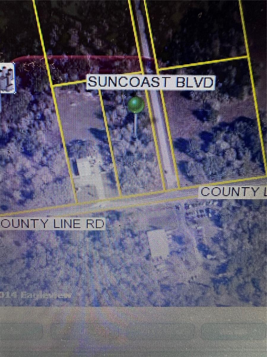 This Prime Commercial property is strategically situated on a corner lot along a paved road, Making it a highly visible location for any business venture. Nestled in an up-and-coming area that is witnessing significant growth, the property offers exceptional potential for entrepreneurs looking to capitalize on the community's expansion. Located right on the Hernando Pasco County line, This lot benefits from the increasing traffic and development in the vicinity. With no HOA fees to contend with, this is a perfect place to establish a business with the ongoing revitalization in the area.