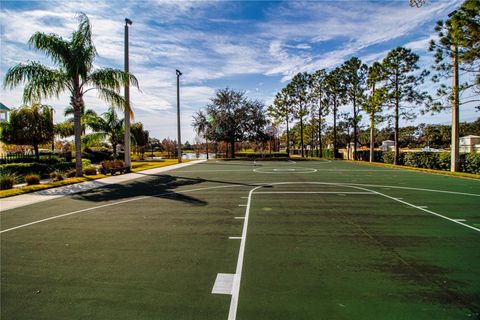 A home in APOLLO BEACH