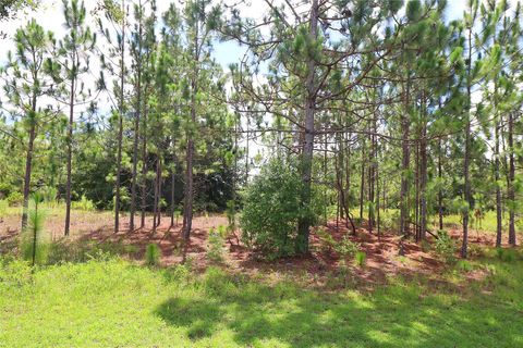 A home in SUMMERFIELD