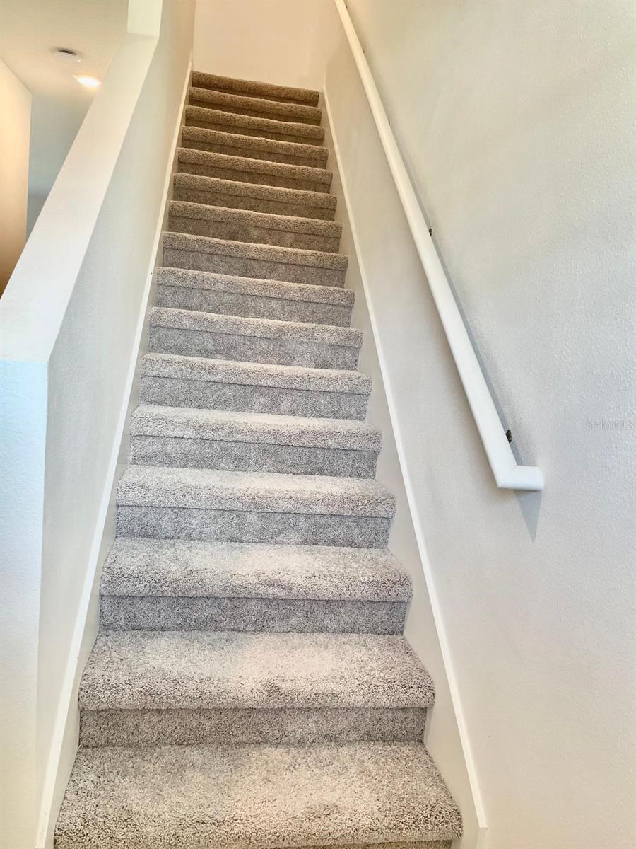 TEMPLES XING - Residential Lease