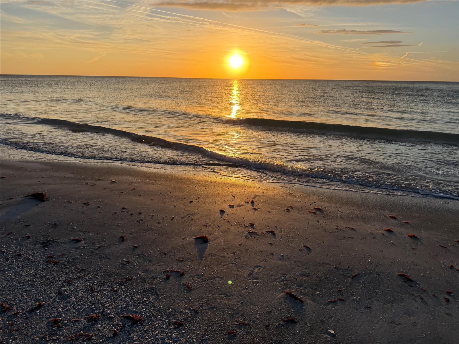 LANDMARK TOWERS 1 - Residential